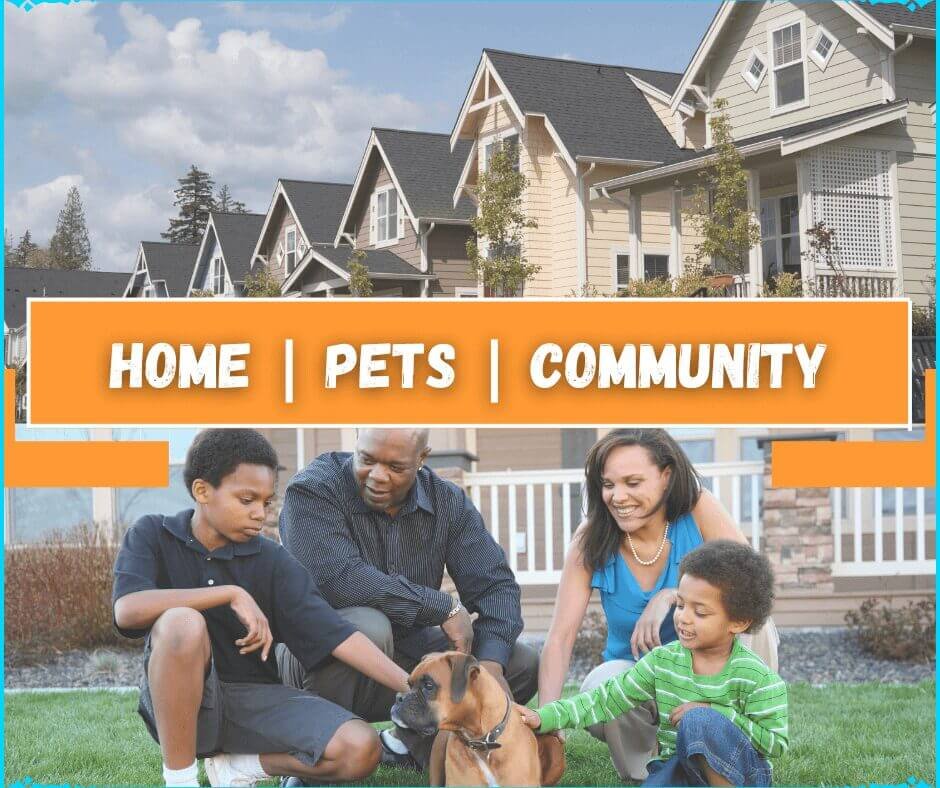 Home-Pets-Community (The Daily Top 10)