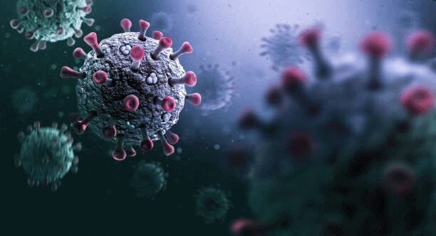 After Effects Of Coronavirus (June 2022), Top 10 World'S Biggest Crisis Everyone Must Not Ignore In 2022