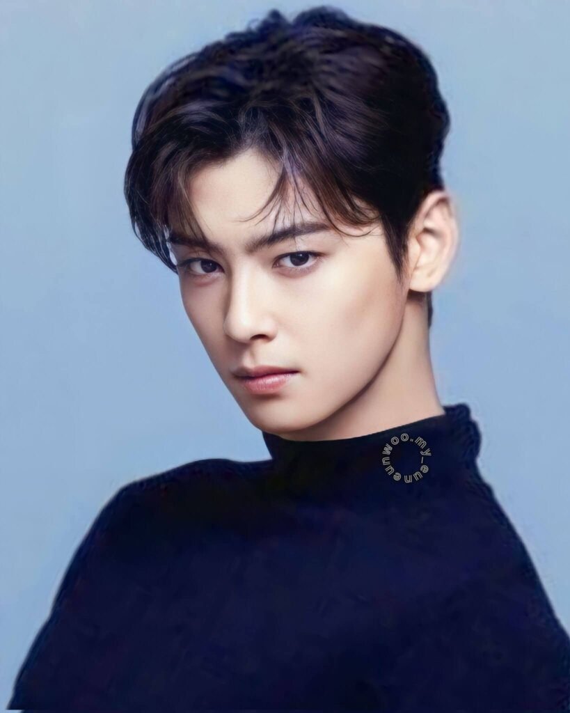Cha Eun-Woo, Top 10 Hottest And Most Handsome Men In Asia