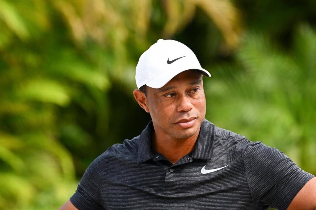 Tiger Woods, Top 10 Best And Greatest Golfers In The Usa Of All Time
