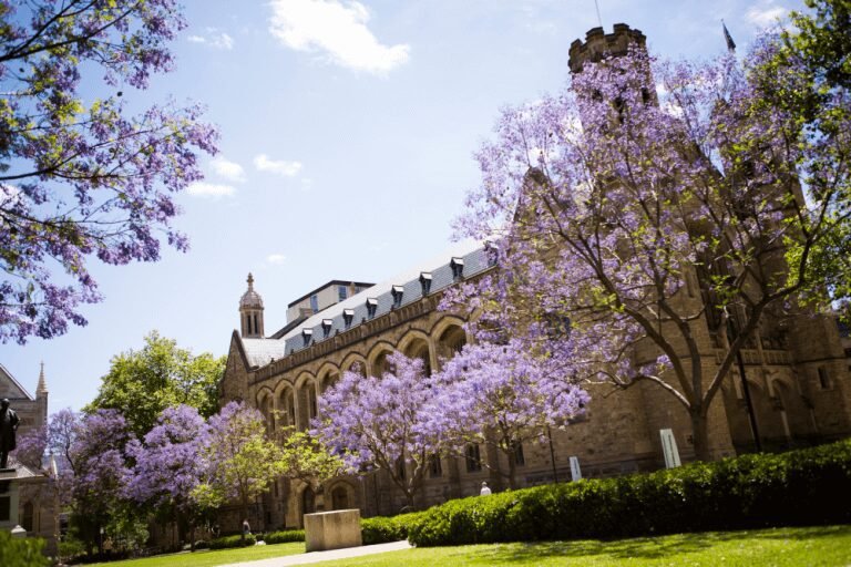 University Of Adelaide, Top 10 Best &Amp; Most Popular Universities In Australia
