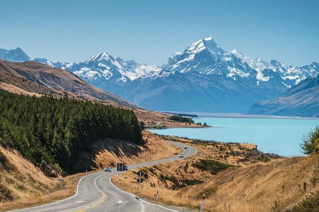 Top 10 Best &Amp; Highest Paying In-Demand Jobs In New Zealand