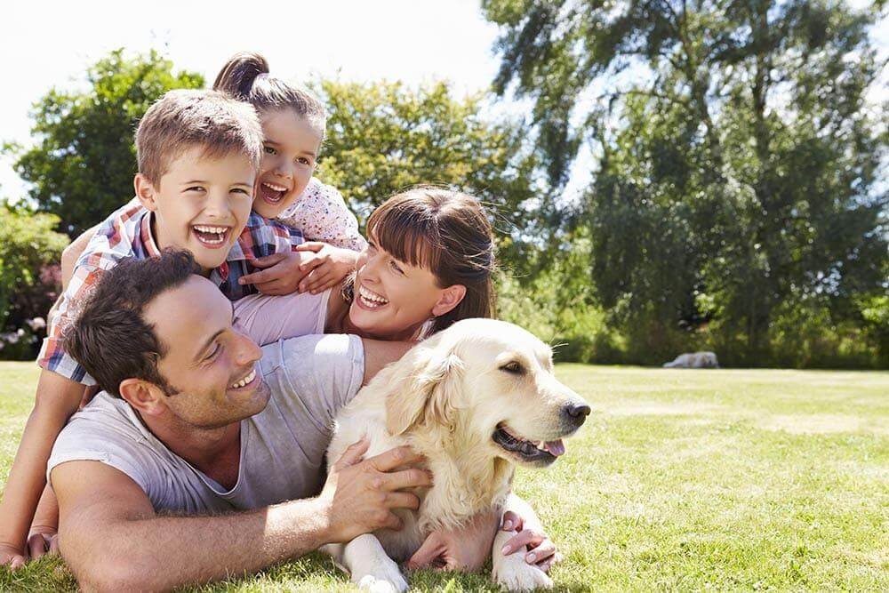 Part Of Our Family, Top 10 Reasons Why We Celebrate Love Your Pet Day Every Day
