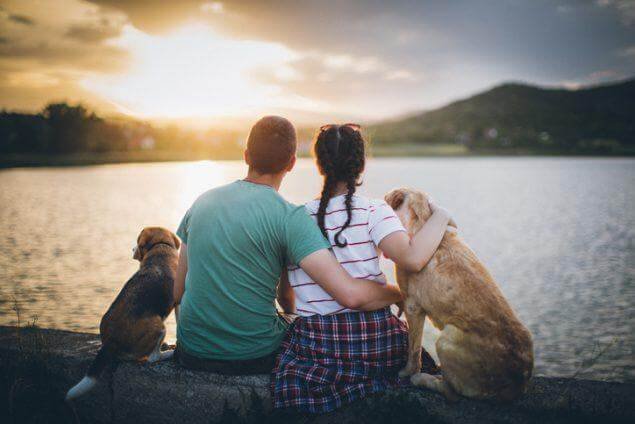 Companionship, Top 10 Reasons Why We Celebrate Love Your Pet Day Every Day