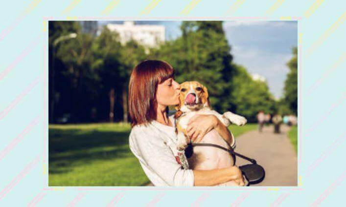 Sense Of Security, Top 10 Reasons Why We Celebrate Love Your Pet Day Every Day