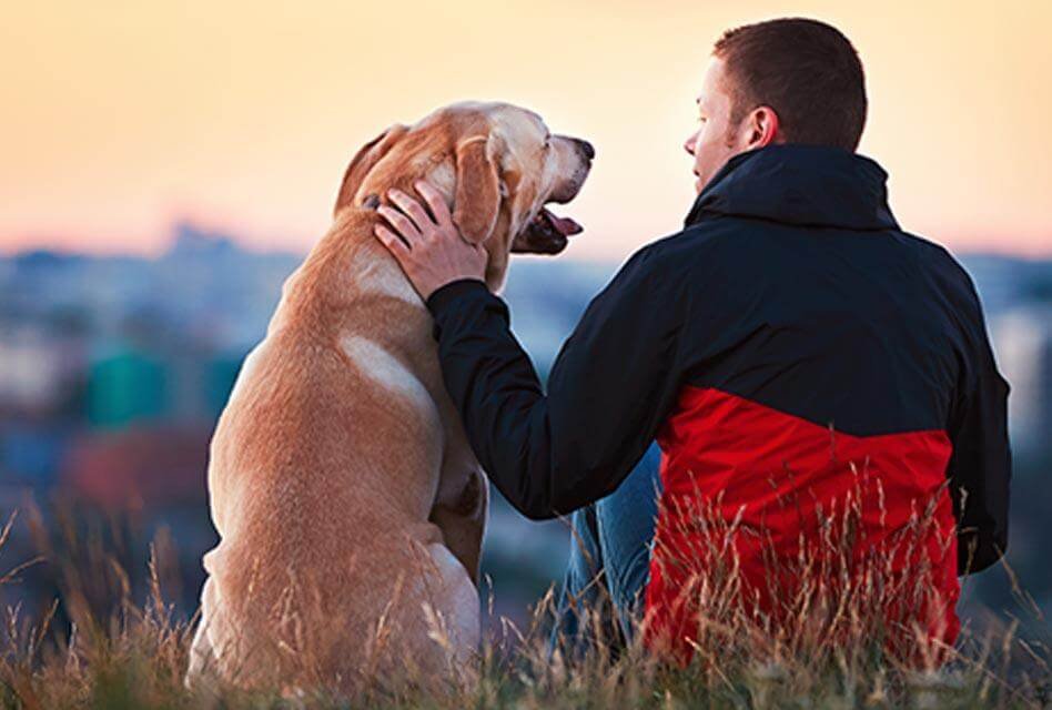Mental Health Improvement, Top 10 Reasons Why We Celebrate Love Your Pet Day Every Day
