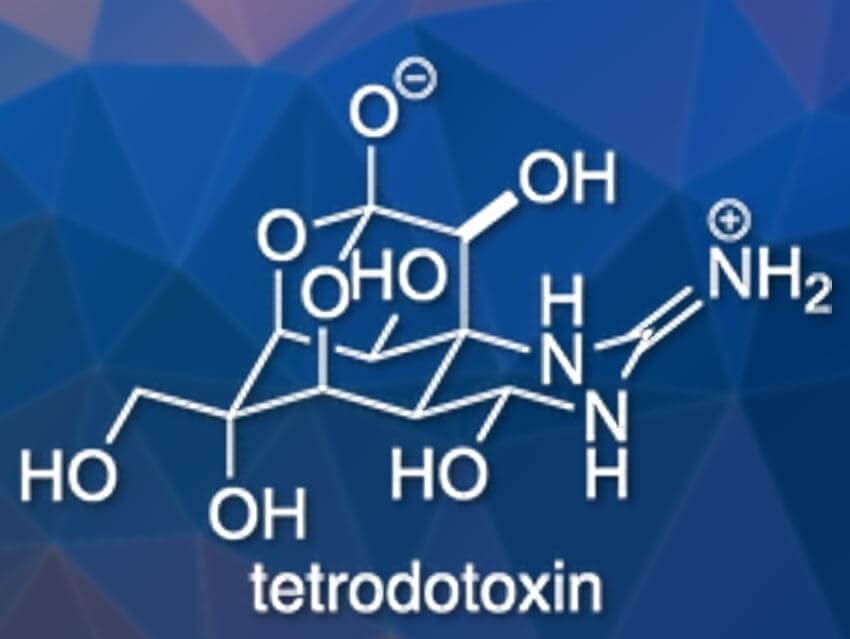 Tetrodotoxin, Top 10 Deadliest &Amp; Dangerous Substances No One Can Hide From