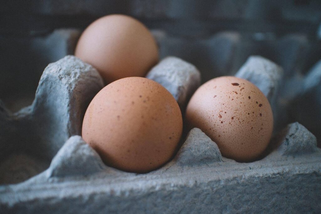 Eggs, Top 10 Nutritious Foods That You Should Be Eating Every Day