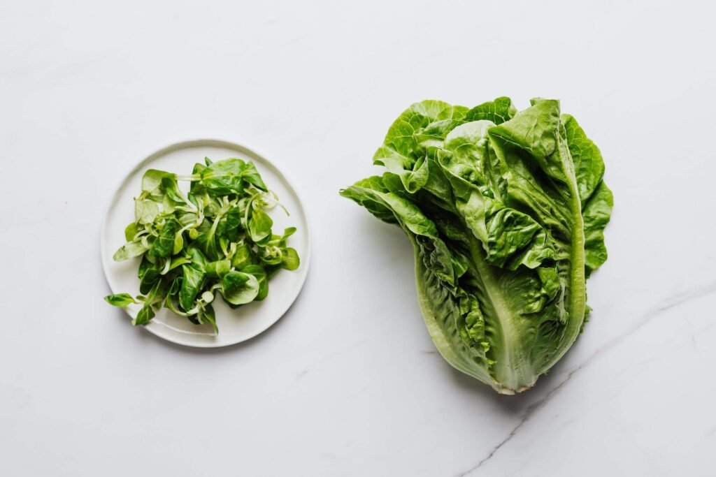 Leafy Greens, Top 10 Nutritious Foods That You Should Be Eating Every Day