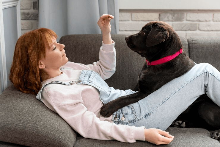 Improved Mental Health And Well-Being, Top 10 Reasons Why Every Pet Make The Best Life Companion