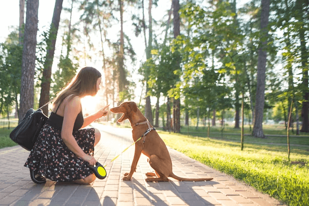 Top 10 Reasons Why Every Pet Make The Best Life Companion