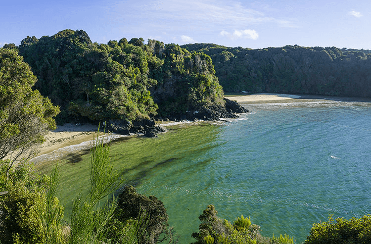 Stewart Island, Top 10 Best Places For First-Time Travelers To Visit In New Zealand