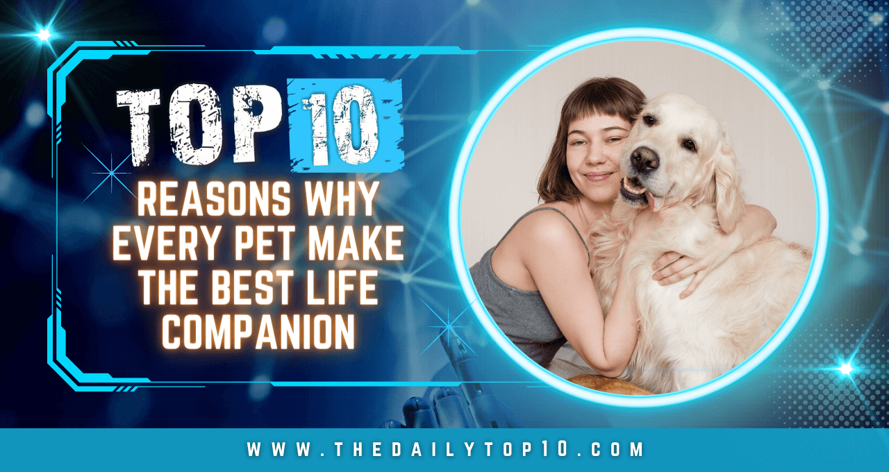 Top 10 Reasons Why Every Pet Make the Best Life Companion