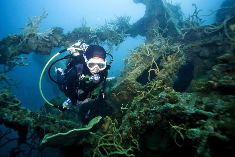 Scuba-Diving-In-Wwii-Shipwrecks-Coron
