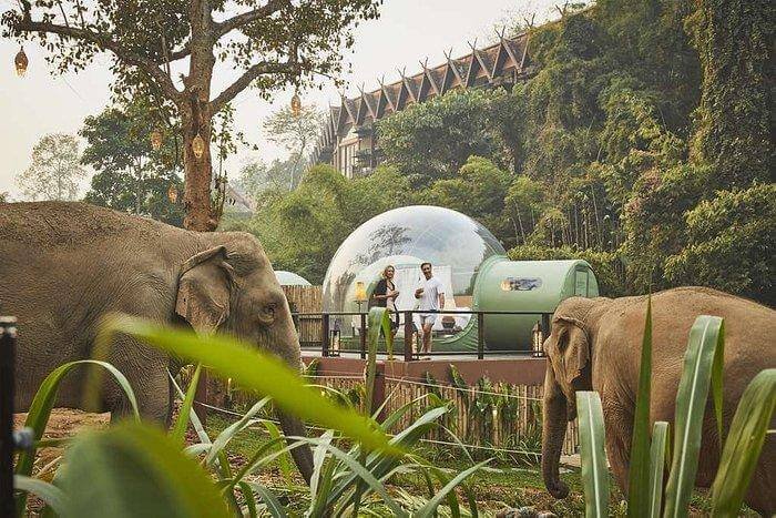 Anantara-Golden-Triangle-Elephant-Camp-Resort-Chiang