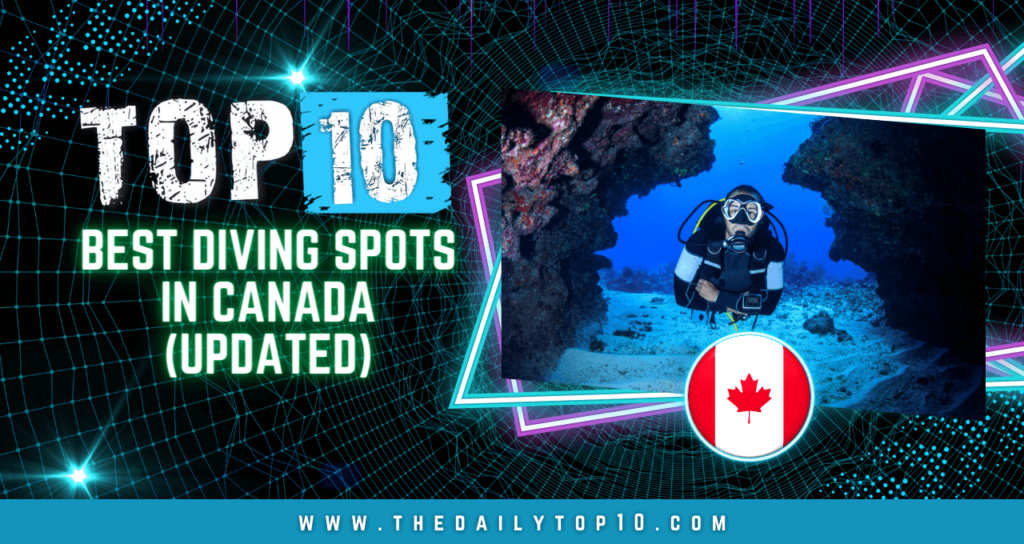 Top 10 Best Diving Spots in Canada (Updated)