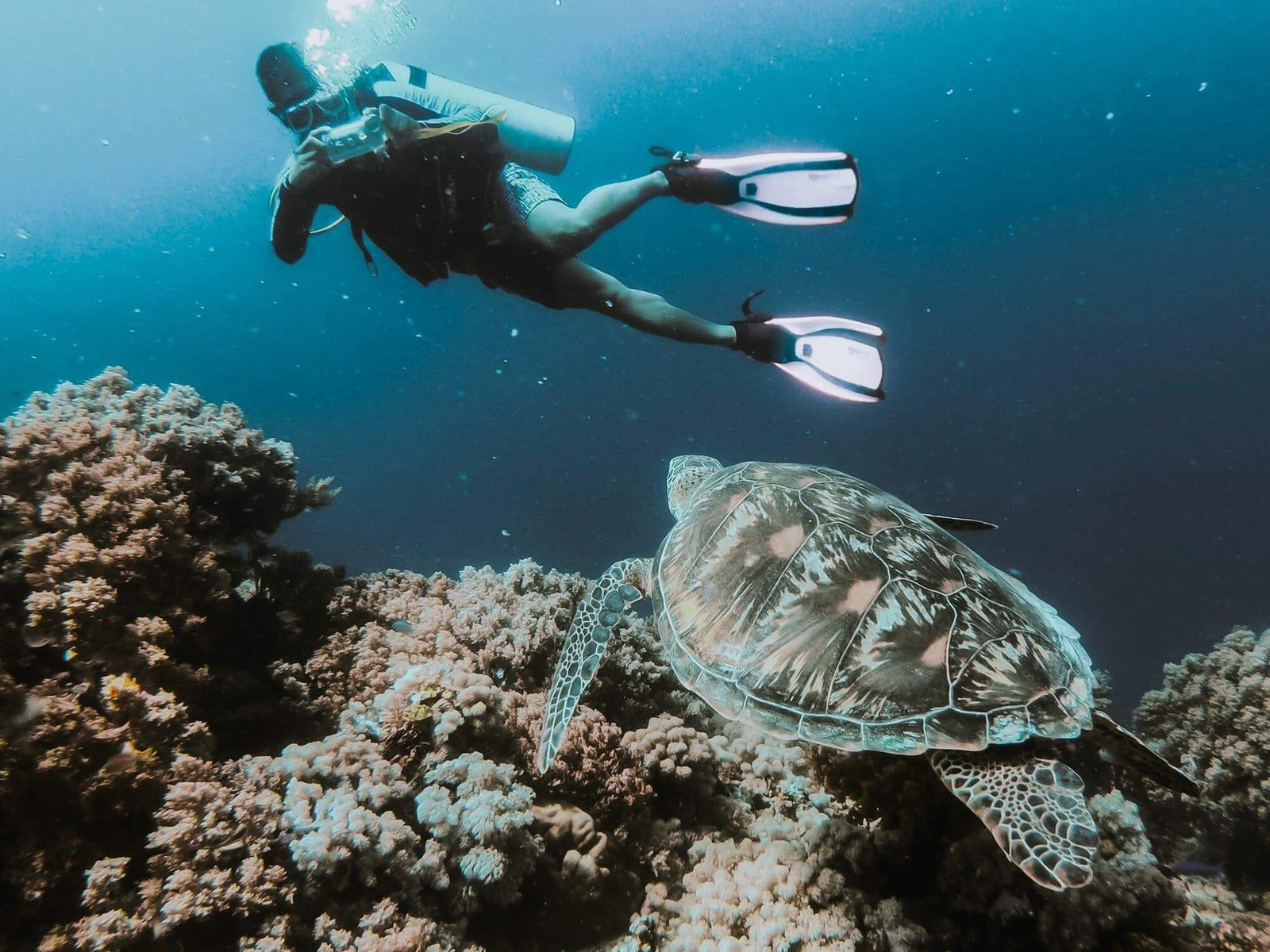 top-10-best-diving-spots-in-germany-updated