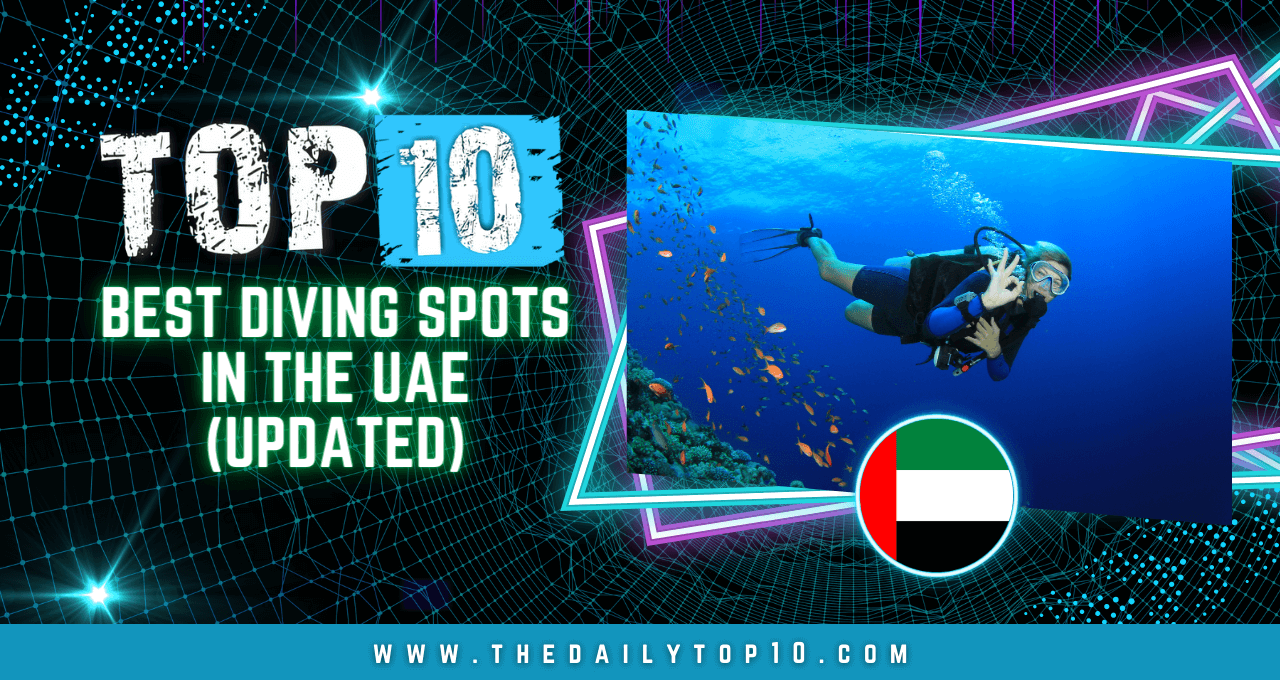 Top 10 Best Diving Spots in the UAE (Updated)